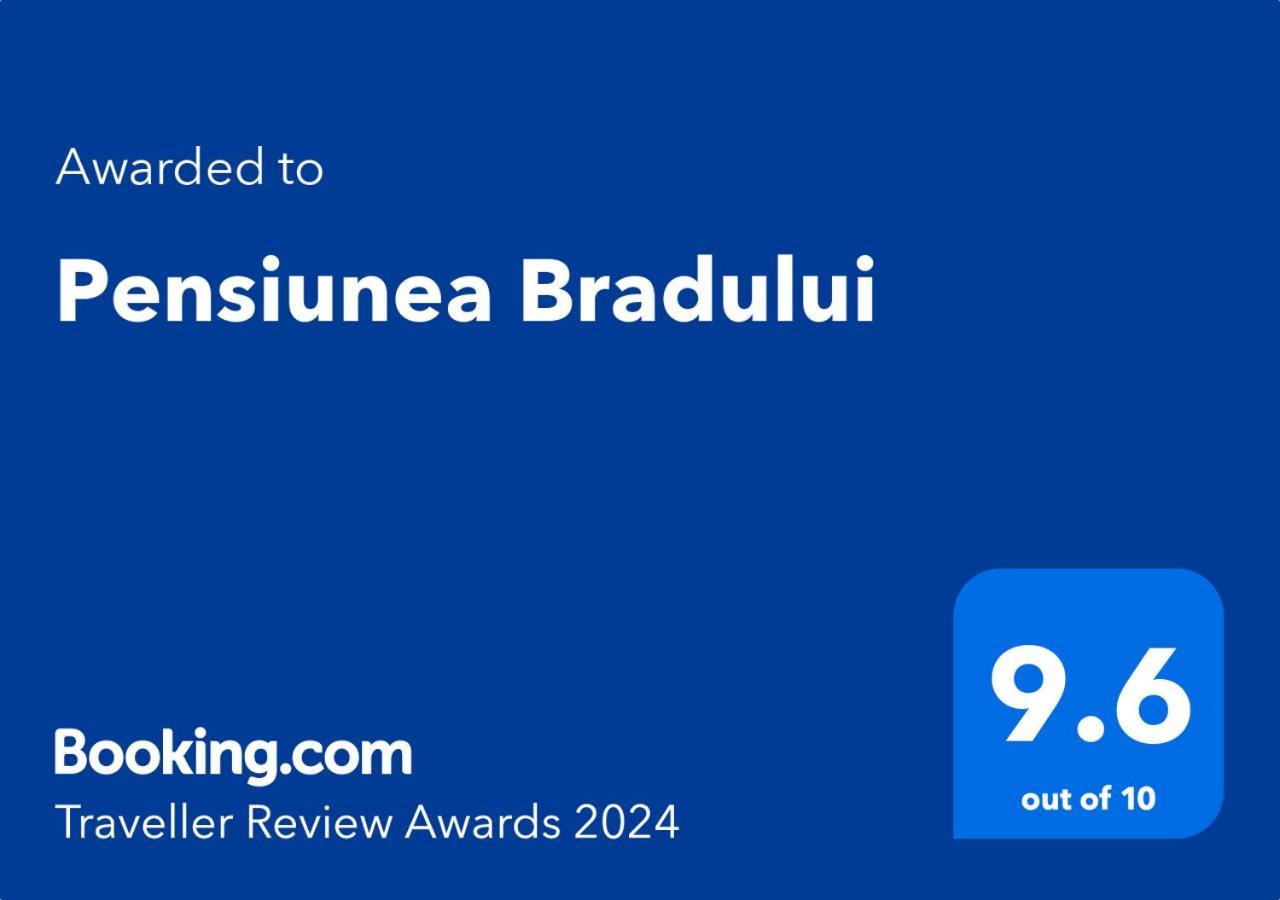 Pensiunea Bradului Colibiţa Exterior foto
